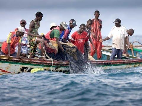 Embedded thumbnail for L&amp;#039;essor de la pêche au Sénégal